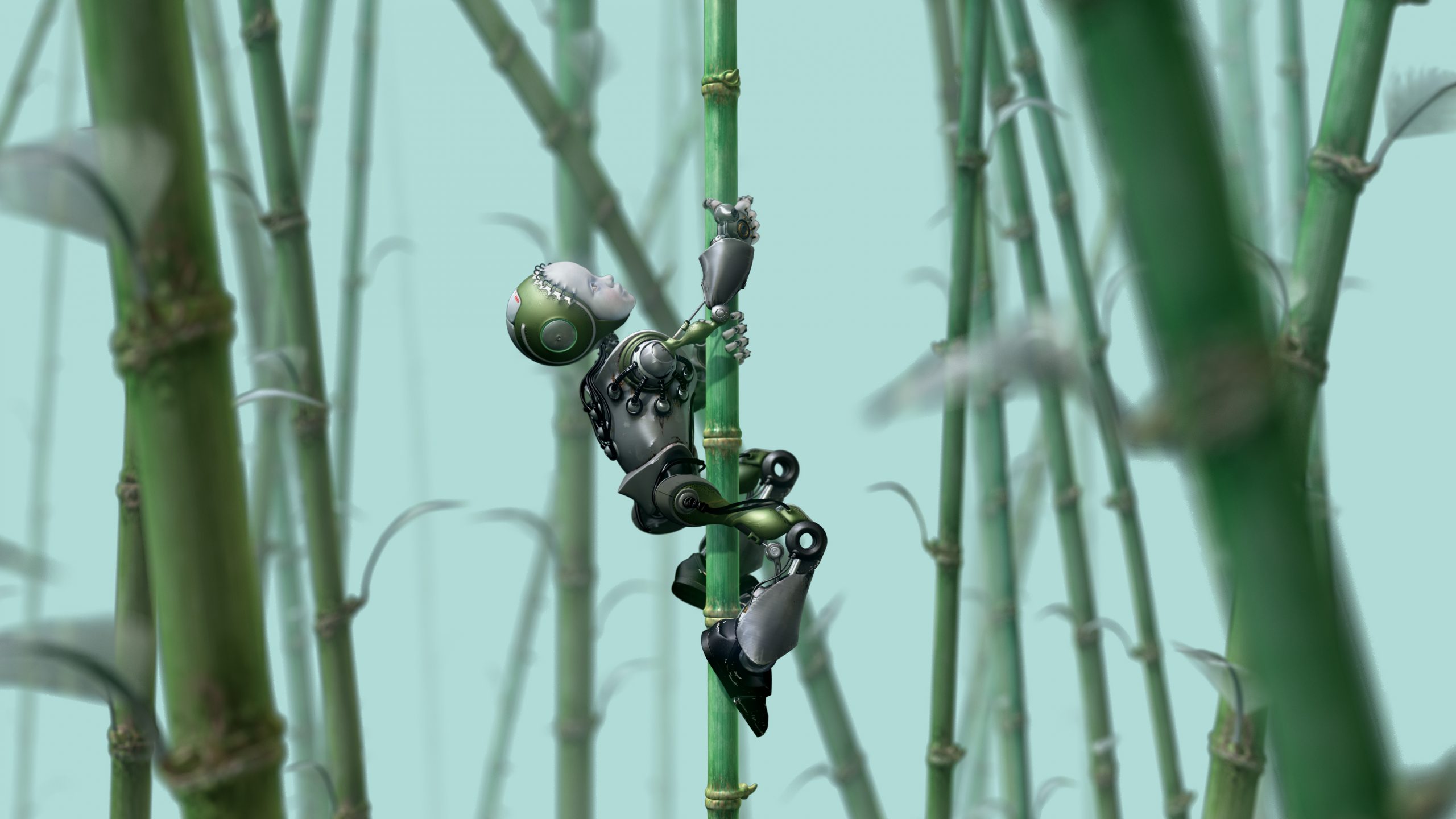 Award wining short animation